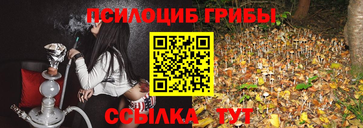 Лабинск  Псилоцибиновые грибы Psilocybine cubensis  наркота  Вход с VPN 