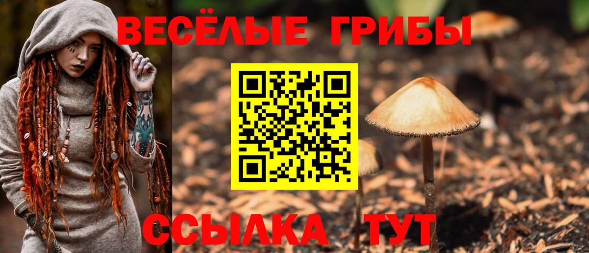 Галлюциногенные грибы мухоморы Лабинск